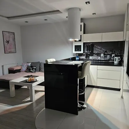 Apartament Silver Malbork Exterior photo